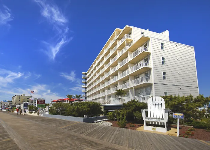 Commander & Hotel
